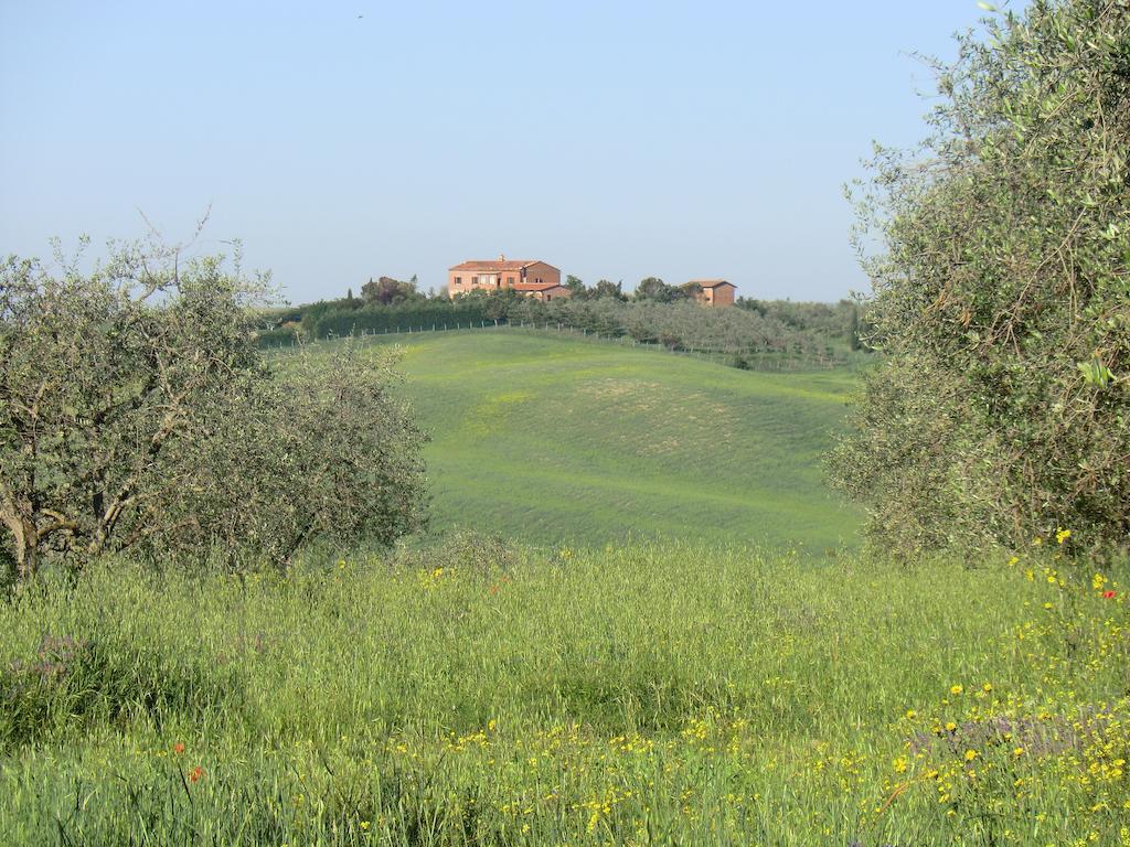 Agriturismo Podernuovo Asciano Kültér fotó