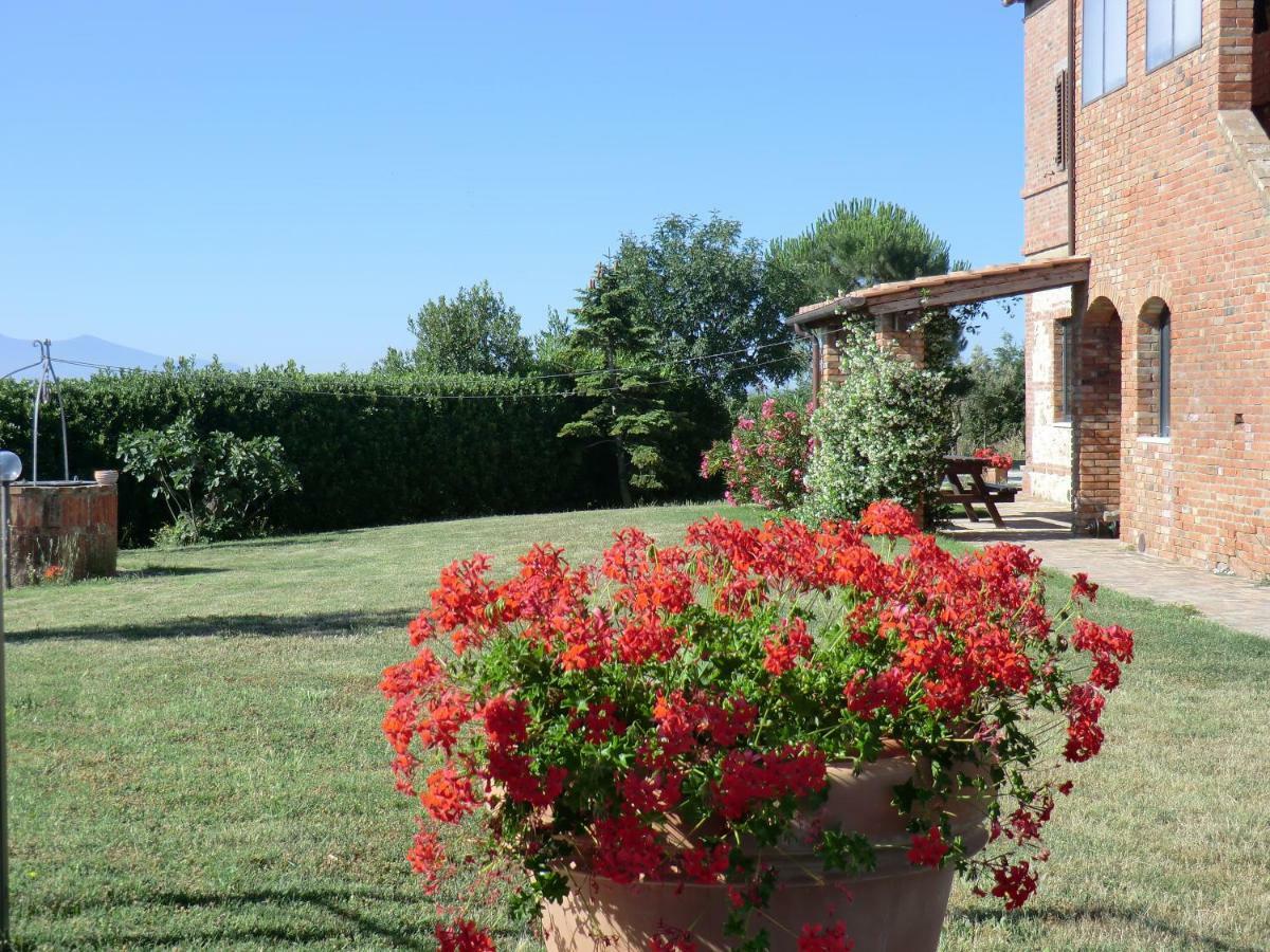 Agriturismo Podernuovo Asciano Kültér fotó