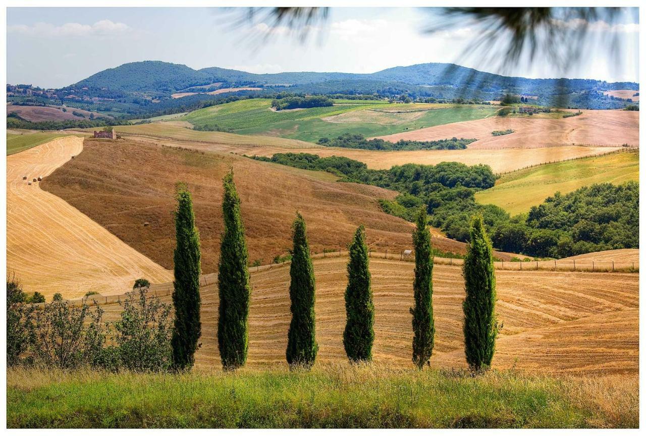 Agriturismo Podernuovo Asciano Kültér fotó