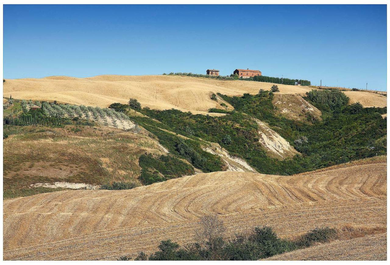 Agriturismo Podernuovo Asciano Kültér fotó
